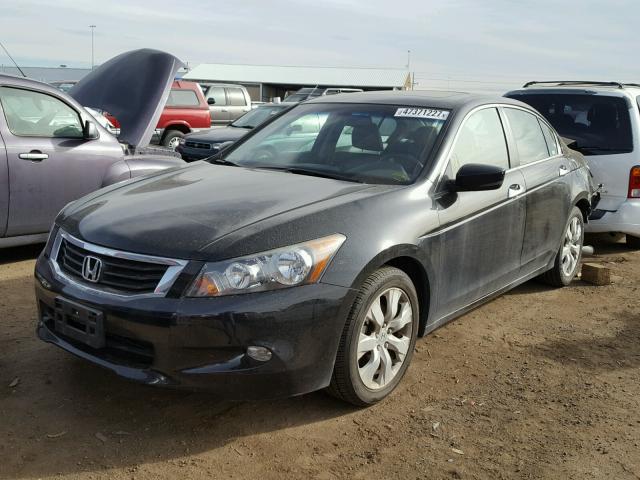 1HGCP36818A086465 - 2008 HONDA ACCORD EXL BLACK photo 2