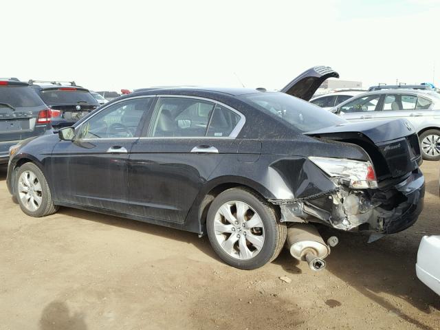 1HGCP36818A086465 - 2008 HONDA ACCORD EXL BLACK photo 3