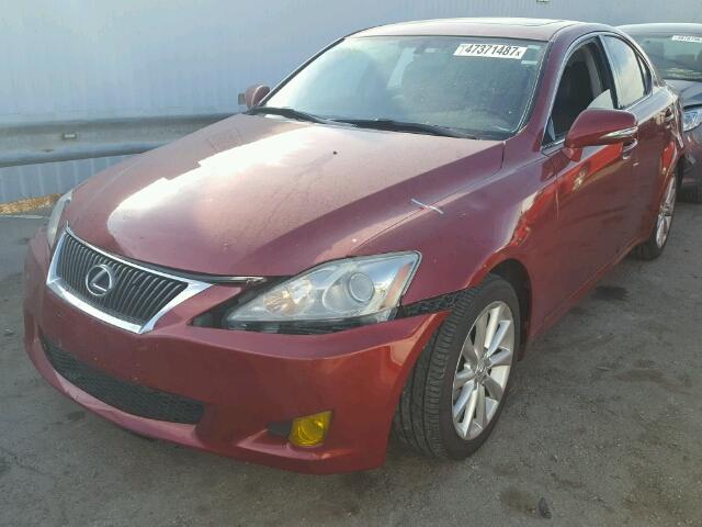 JTHCK262792028650 - 2009 LEXUS IS 250 RED photo 2