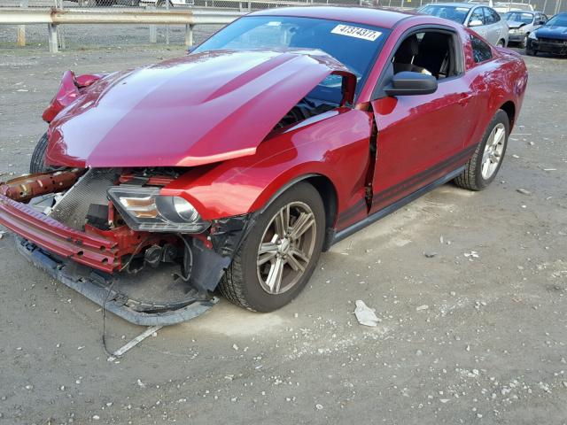 1ZVBP8AM0C5209313 - 2012 FORD MUSTANG RED photo 2