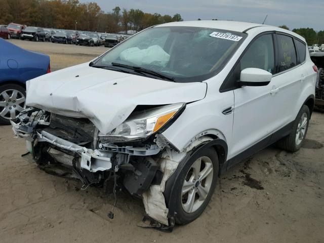 1FMCU0GX6EUD44741 - 2014 FORD ESCAPE SE WHITE photo 2