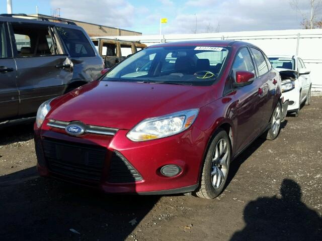 1FADP3F20DL310201 - 2013 FORD FOCUS SE RED photo 2