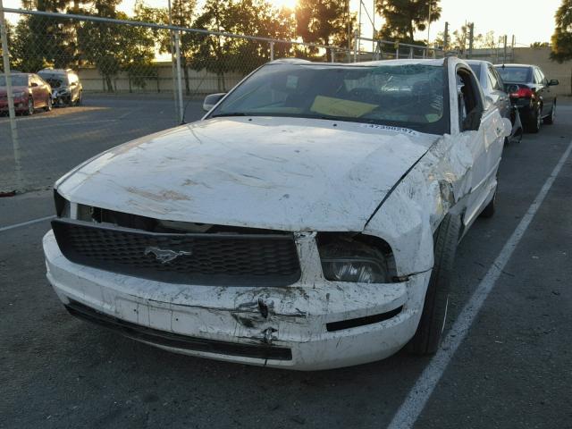 1ZVFT80N765185412 - 2006 FORD MUSTANG WHITE photo 2