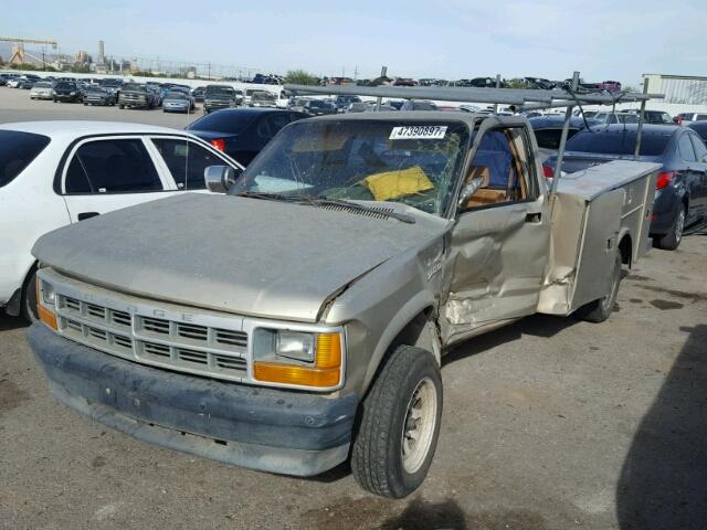 1B6GL26X1NS632091 - 1992 DODGE DAKOTA GOLD photo 2