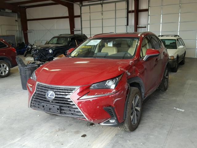 JTJBJRBZXJ2092646 - 2018 LEXUS NX 300H RED photo 2