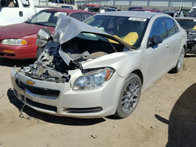 1G1ZA5E01AF288998 - 2010 CHEVROLET MALIBU LS თაფლისფერი ფოტო 2