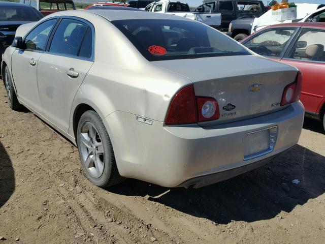 1G1ZA5E01AF288998 - 2010 CHEVROLET MALIBU LS თაფლისფერი ფოტო 3