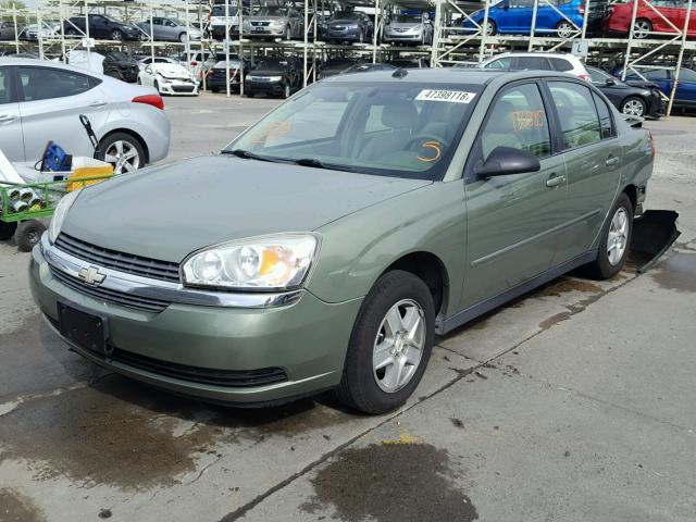 1G1ZT54805F326602 - 2005 CHEVROLET MALIBU LS Yaşıl foto 2