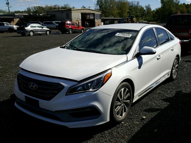 5NPE34AF2FH032337 - 2015 HYUNDAI SONATA SPO WHITE photo 2