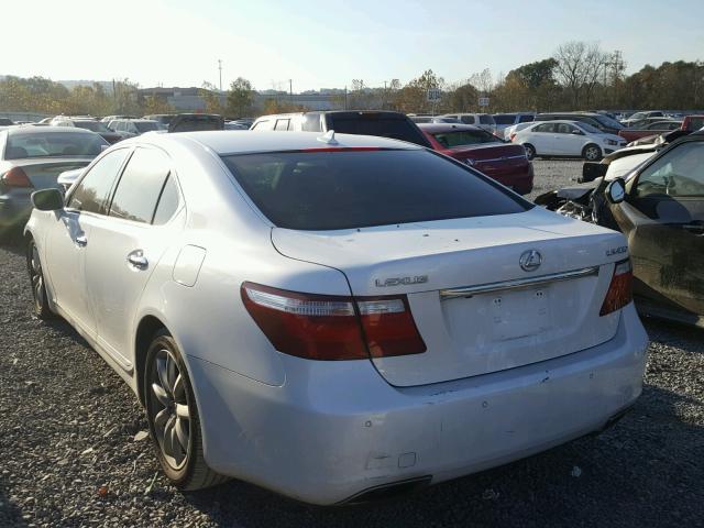 JTHBL46F375024274 - 2007 LEXUS LS 460 WHITE photo 3