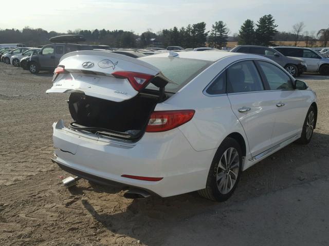 5NPE34AF4FH087159 - 2015 HYUNDAI SONATA SPO WHITE photo 4