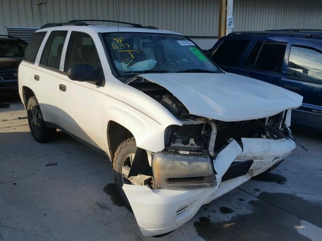 1GNDT13S342348436 - 2004 CHEVROLET TRAILBLAZE WHITE photo 1