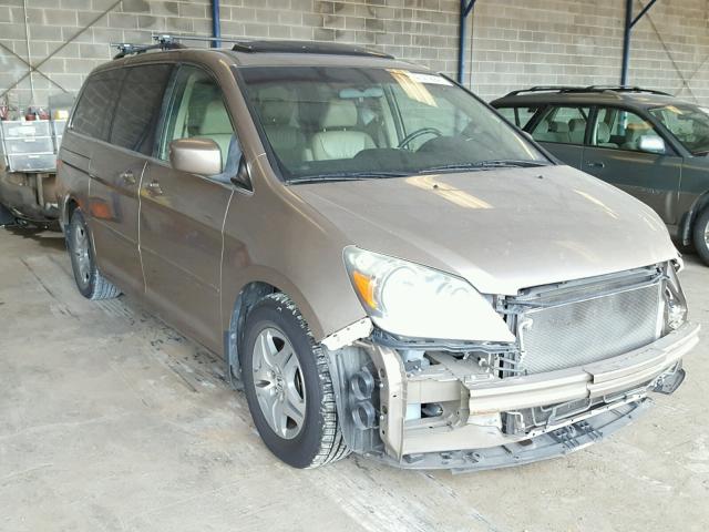 5FNRL38727B423787 - 2007 HONDA ODYSSEY EX GOLD photo 1