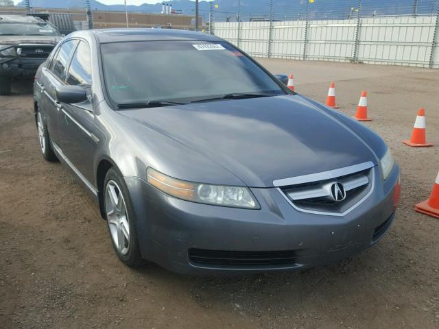 19UUA66295A048402 - 2005 ACURA TL GRAY photo 1