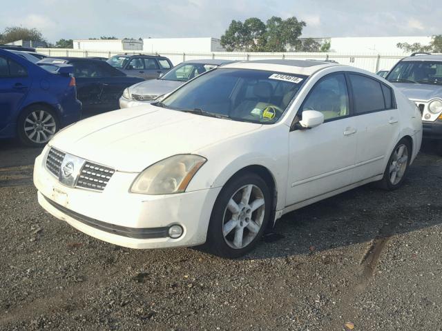 1N4BA41E95C871711 - 2005 NISSAN MAXIMA SE WHITE photo 2