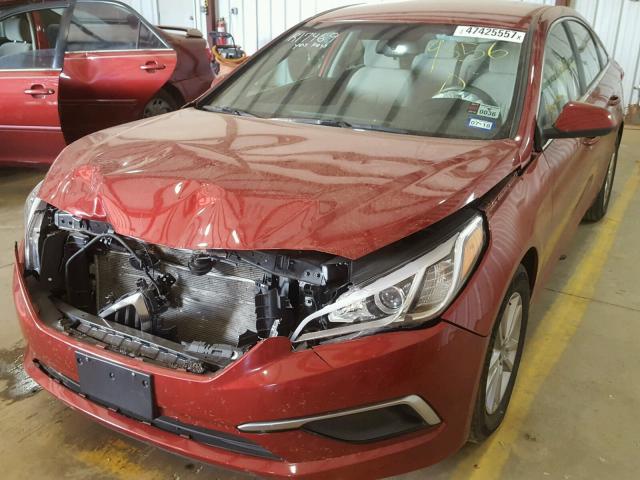 5NPE24AF2GH359356 - 2016 HYUNDAI SONATA SE MAROON photo 2