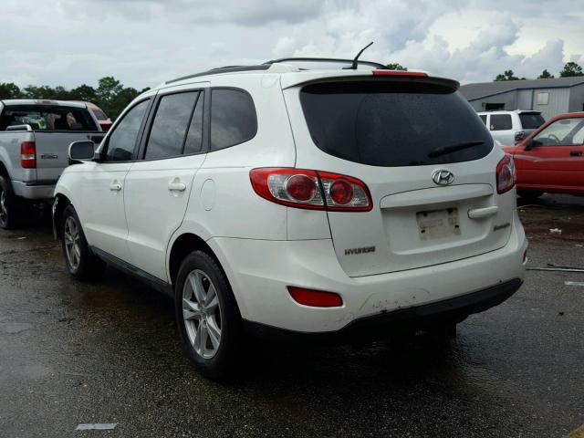 5NMSH4AG6AH353252 - 2010 HYUNDAI SANTA FE S WHITE photo 3