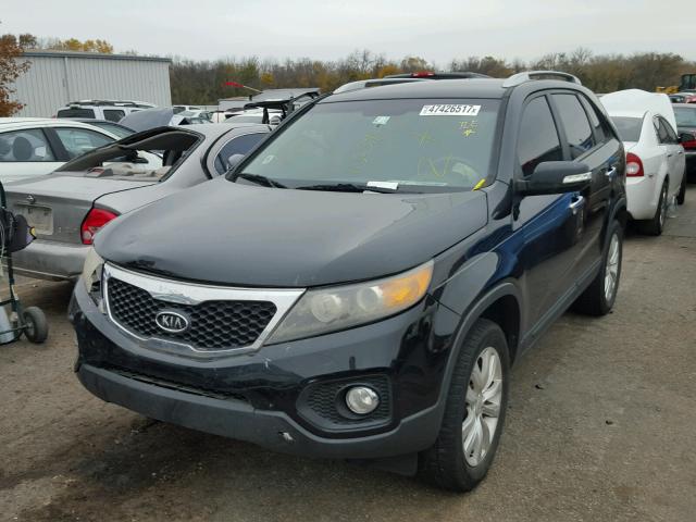 5XYKT4A23BG113039 - 2011 KIA SORENTO BA BLACK photo 2