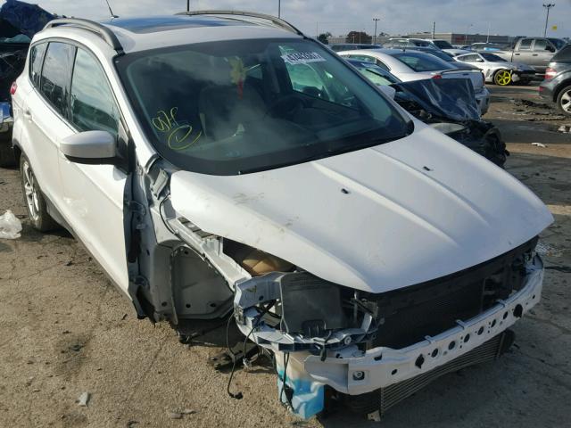 1FMCU9G94EUB24486 - 2014 FORD ESCAPE SE WHITE photo 1