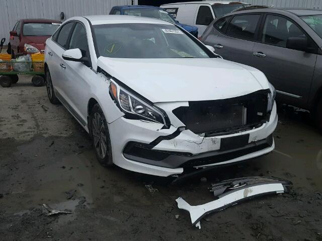 5NPE34AF4FH214413 - 2015 HYUNDAI SONATA SPO WHITE photo 1