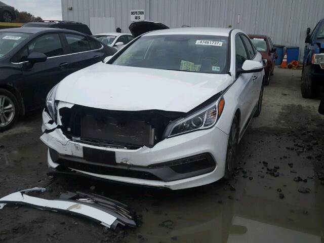 5NPE34AF4FH214413 - 2015 HYUNDAI SONATA SPO WHITE photo 2