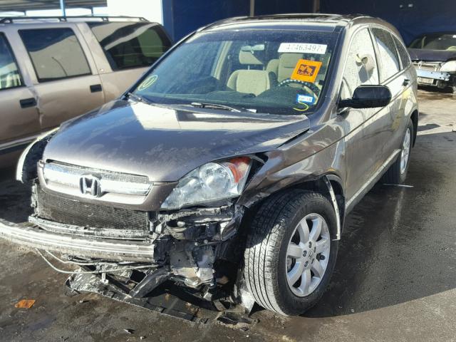 5J6RE48509L061337 - 2009 HONDA CR-V EX ყავისფერი ფოტო 2