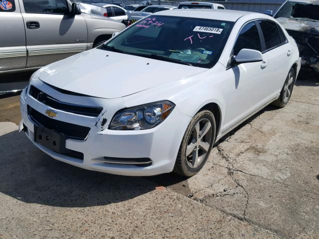 1G1ZC5EU4BF181328 - 2011 CHEVROLET MALIBU 1LT WHITE photo 2