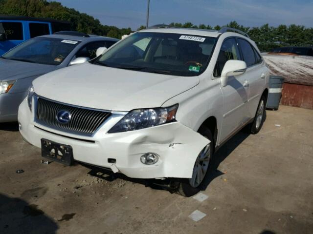 JTJBC1BA5A2023529 - 2010 LEXUS RX 450 WHITE photo 2