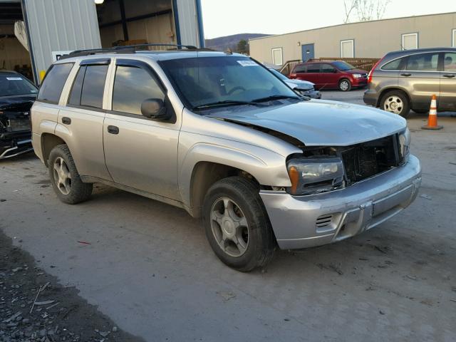 1GNDS13S972270378 - 2007 CHEVROLET TRAILBLAZE SILVER photo 1