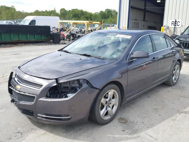 1G1ZC5EB5A4160982 - 2010 CHEVROLET MALIBU 1LT GRAY photo 2