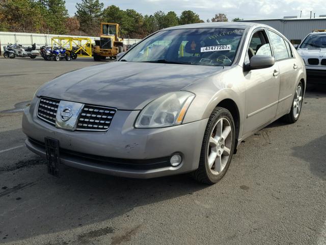 1N4BA41E65C849424 - 2005 NISSAN MAXIMA SE GRAY photo 2