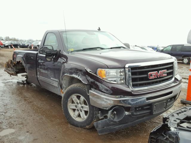 1GTEK24019Z120288 - 2009 GMC SIERRA K15 PURPLE photo 1