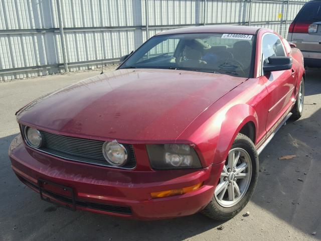 1ZVFT80N155214272 - 2005 FORD MUSTANG RED photo 2