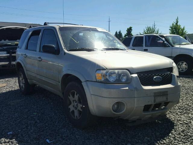 1FMYU04175KA38942 - 2005 FORD ESCAPE LIM GOLD photo 1