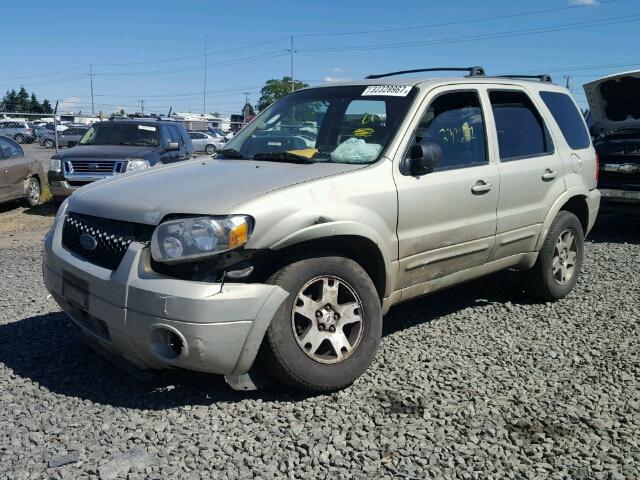 1FMYU04175KA38942 - 2005 FORD ESCAPE LIM GOLD photo 2