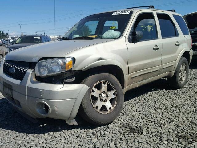 1FMYU04175KA38942 - 2005 FORD ESCAPE LIM GOLD photo 9