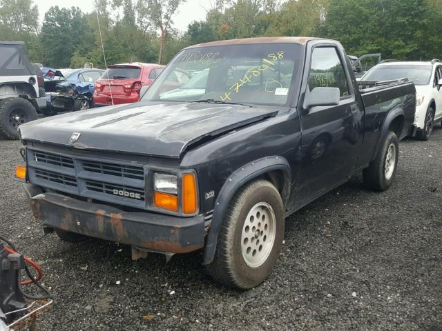 1B7FL66XXKS143456 - 1989 DODGE DAKOTA SPO BLACK photo 2