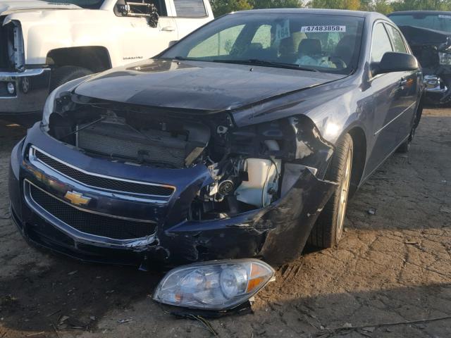 1G1ZB5EB0AF228743 - 2010 CHEVROLET MALIBU LS Mavi foto 2