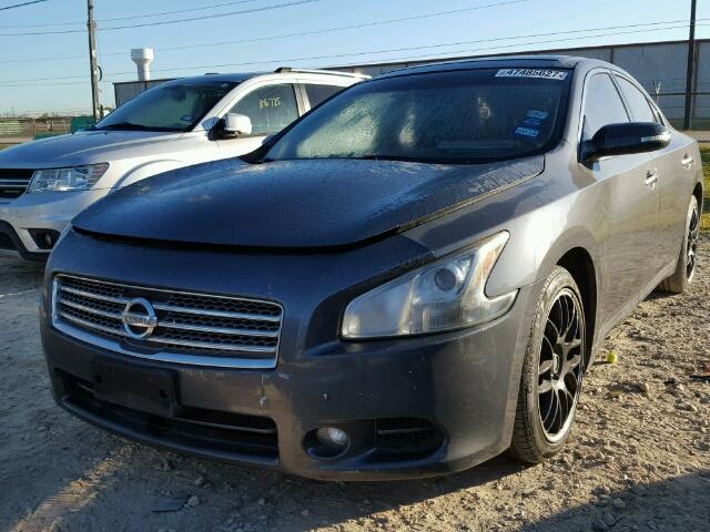 1N4AA51E99C851210 - 2009 NISSAN MAXIMA S GRAY photo 2