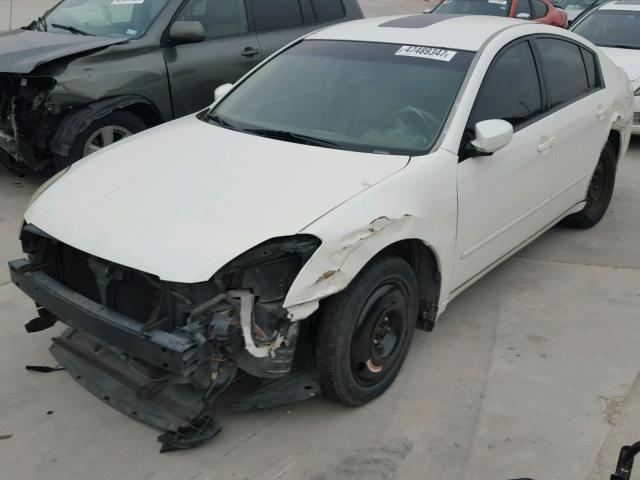 1N4BA41E84C884514 - 2004 NISSAN MAXIMA SE WHITE photo 2