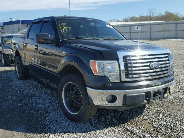 1FTFW1EV1AFC05229 - 2010 FORD F150 SUPER BLACK photo 1