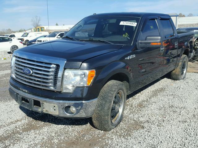 1FTFW1EV1AFC05229 - 2010 FORD F150 SUPER BLACK photo 2