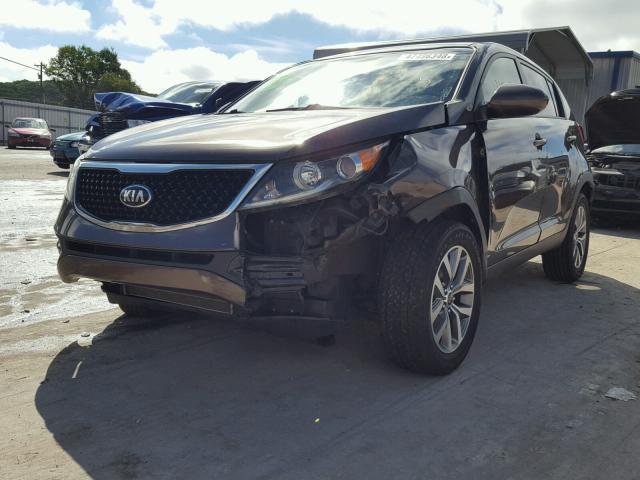 KNDPB3AC5E7549288 - 2014 KIA SPORTAGE B BROWN photo 2