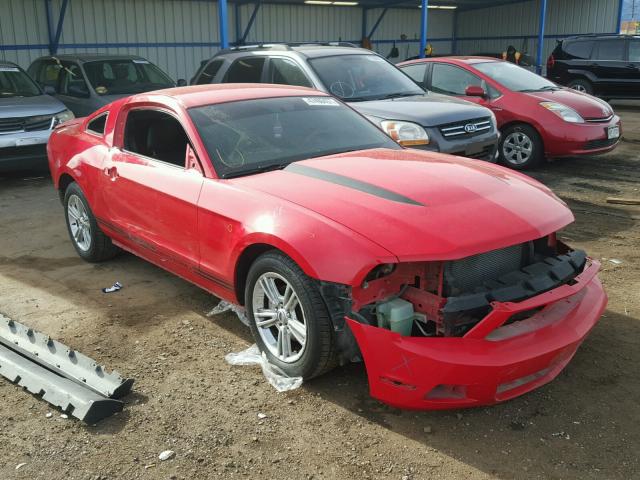 1ZVBP8AN2A5115634 - 2010 FORD MUSTANG RED photo 1