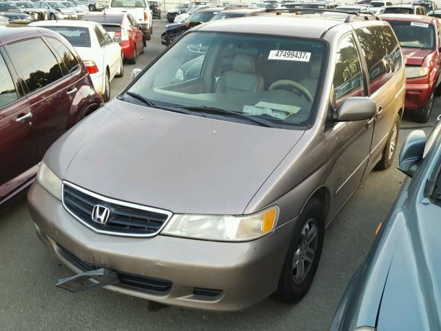 5FNRL18024B034876 - 2004 HONDA ODYSSEY EX TAN photo 2