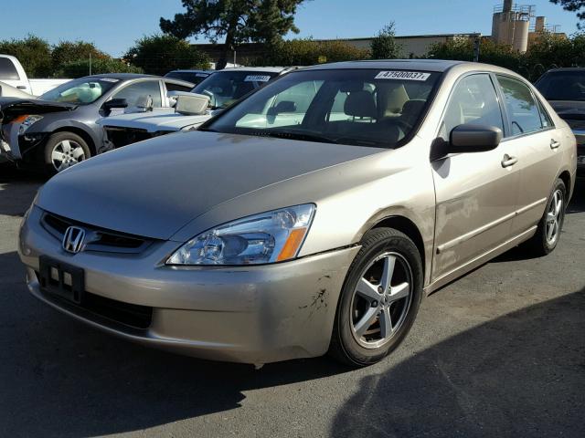 JHMCM56653C036889 - 2003 HONDA ACCORD EX GOLD photo 2