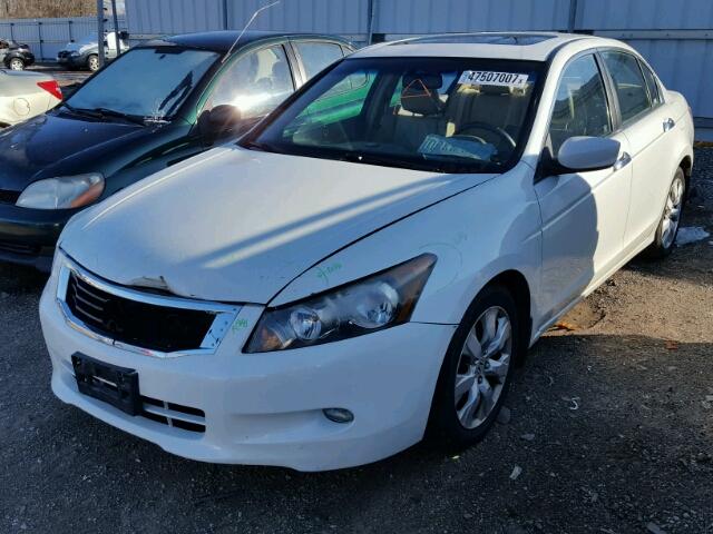 1HGCP368X8A025115 - 2008 HONDA ACCORD EXL WHITE photo 2