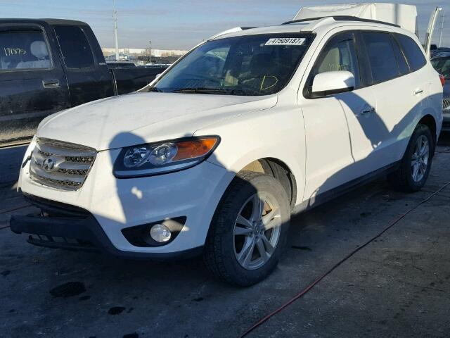 5XYZKDAG2CG150033 - 2012 HYUNDAI SANTA FE L WHITE photo 2