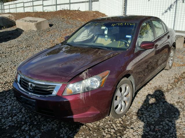 1HGCP26888A036396 - 2008 HONDA ACCORD EXL RED photo 2