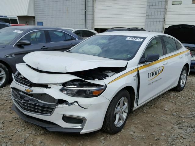 1G1ZC5ST7GF225583 - 2016 CHEVROLET MALIBU LS თეთრი ფოტო 2